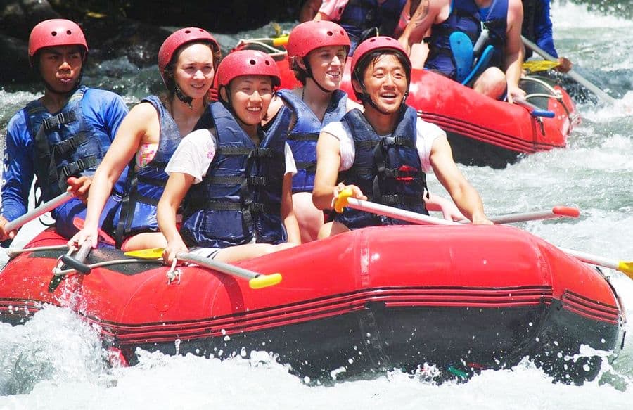 Activity image 2