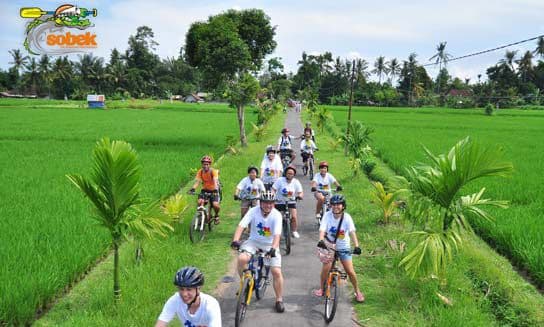 Sobek Ubud Cycling Adventure: Discover Bali Beauty on Two Wheels