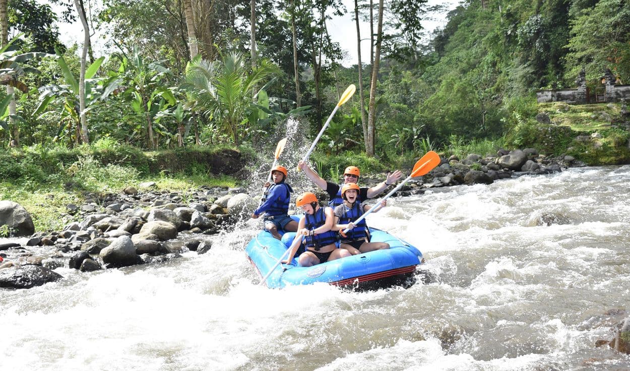 Activity image 4