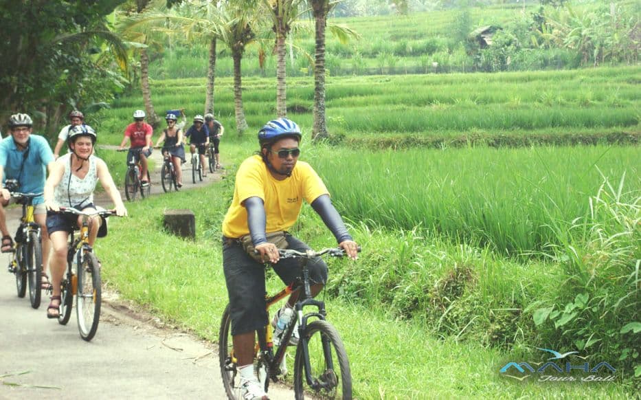 Activity image 2