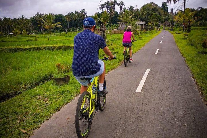 KINTAMANI TO UBUD CYCLING TOUR BY BALAJI ADVENTURE
