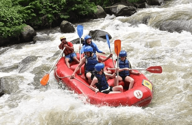 Activity image 3