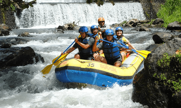 Activity image 2